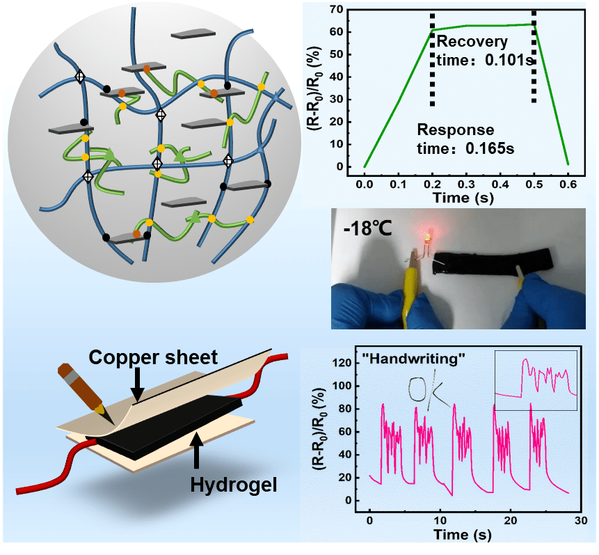 水凝膠 三維網絡中的柔韌與功能